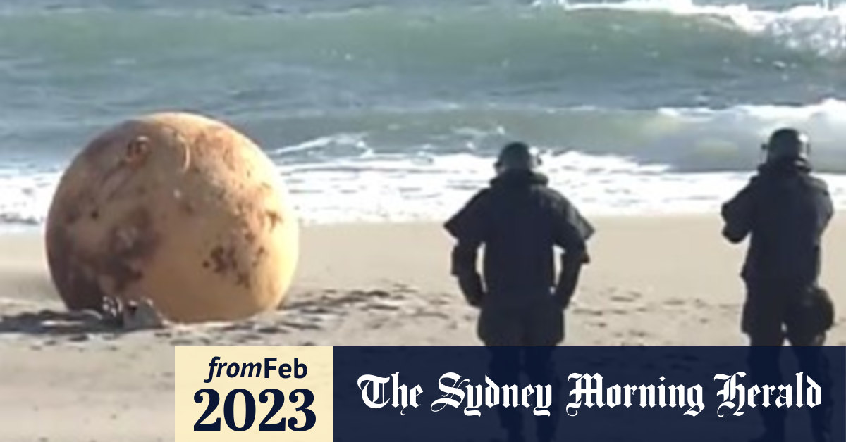 Godzilla Egg Giant orb washes ashore in Japan